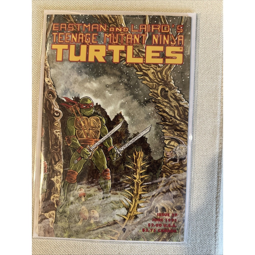 Teenage Mutant Ninja Turtles (1984 series) #37 VF+ Cond 1st Print (Mirage, 1991)